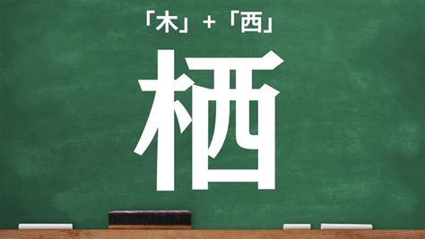 木卓 漢字|木へんに卓の読み方は？「棹」の4つの音読み訓読み